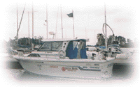 31 ft (9.5M) hardtop Power Cruiser